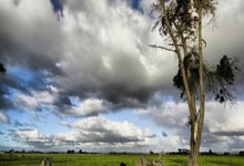  内马尔这里是球场不是秀场 