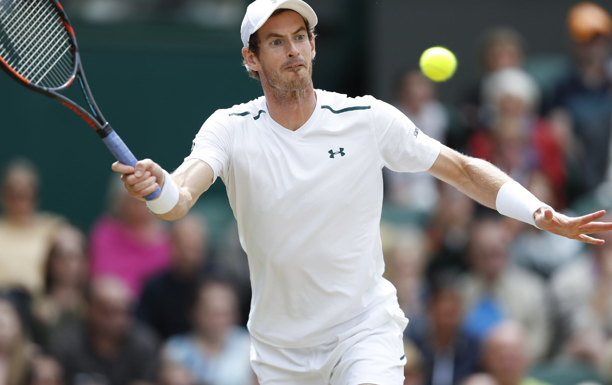 关于穆雷迎来七赛季高光表现，日本队球迷沸腾！的信息